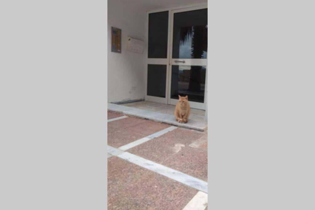 Captain'S Home Loutraki Екстер'єр фото